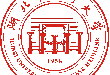 hu_bei_new_copie