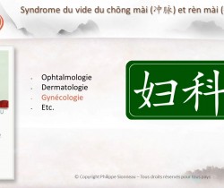 sionneau_cours_en_ligne_medecine_chinoise
