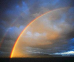 arc1_-_copie