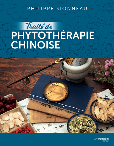 LNJZMDSS Bouilloire Électrique Multifonctionnelle en Céramique pour La Santé, Pot Chaud en Céramique, Pot De Médecine Chinoise, Cuiseur Automatique De Phytothérapie,4l