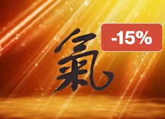 cours_Qi_online_sionneau-blackfriday15