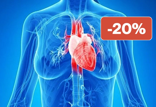 Coeur-et-Intestin-Grêle-Formations-Sionneau-Online-blackfriday