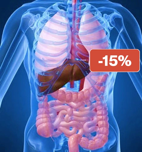 organes-Zang-Fu-et-extraordinaires-Formations-Sionneau-Online-blackfriday15