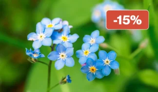 -15% Formulaire pratique de pharmacopée chinoise