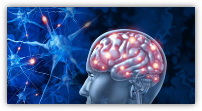 Accompagner la maladie d’Alzheimer avec la médecine chinoise