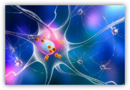 Accompagner la maladie de Parkinson avec la médecine chinoise