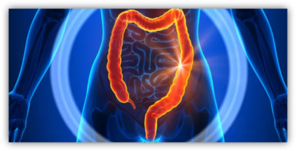 Accompagner la maladie de de Crohn et la rectocolite hémorragique avec la médecine chinoise