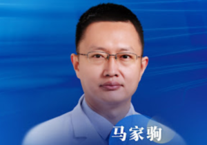 Ma-Jia-Ju-马家驹-Jing-Fang-Sionneau-Berger.
